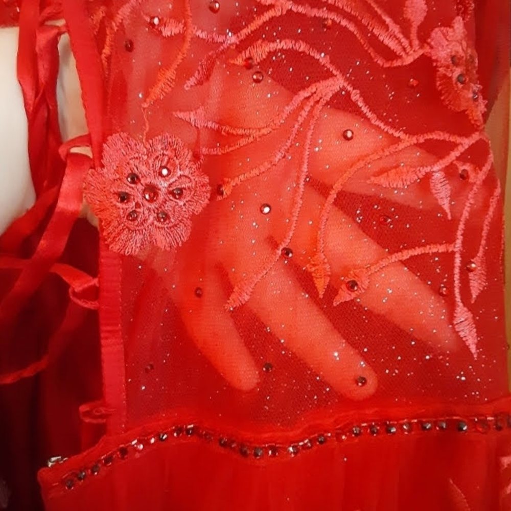 Red Rhinestone Embellished Dress - Picture 8 of 8